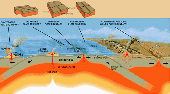 Shows convergent (slamming together) divergent (separating) and transform (sliding past) faults.
